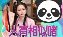 娱乐圈吃瓜爆料素材下载,揭秘明星背后的秘密与真相