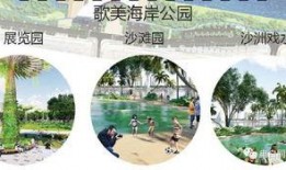 土人设计爆料视频大全最新,揭秘视频大全背后的创意火花