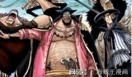 黑胡子全新爆料视频大全,揭秘神秘势力与海贼王世界的惊天秘密