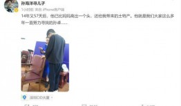 西瓜视频爆料孙海洋,揭秘娱乐圈不为人知的一面